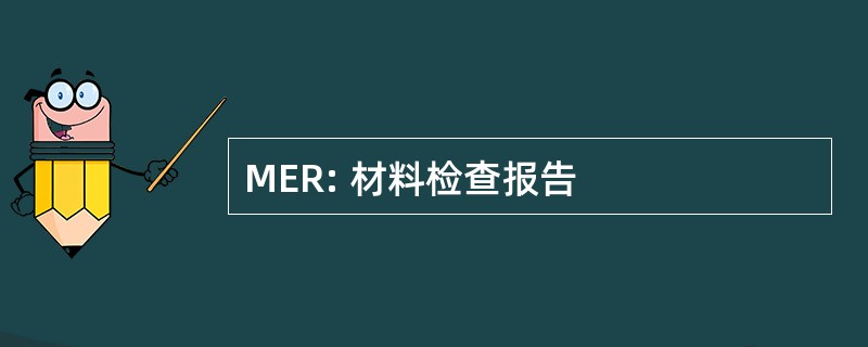 MER: 材料检查报告