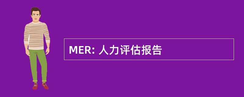 MER: 人力评估报告