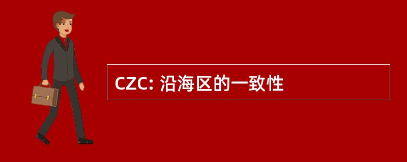 CZC: 沿海区的一致性