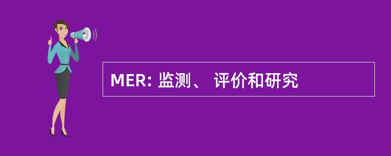 MER: 监测、 评价和研究