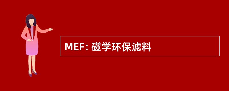 MEF: 磁学环保滤料