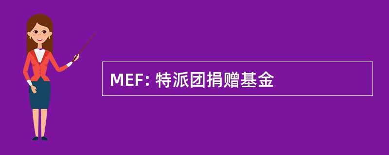 MEF: 特派团捐赠基金