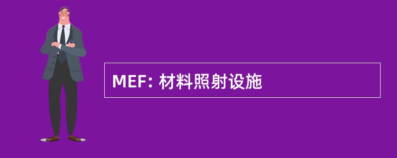 MEF: 材料照射设施