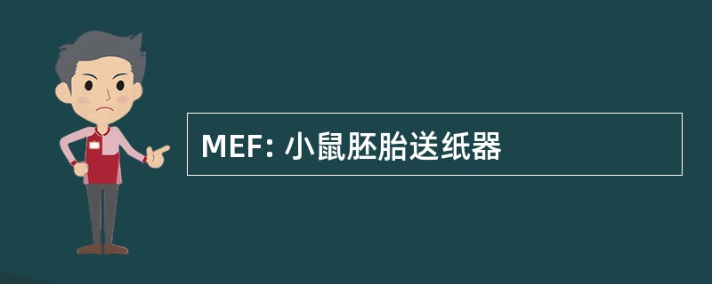 MEF: 小鼠胚胎送纸器