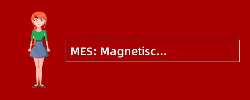 MES: Magnetischer Eigenschutz