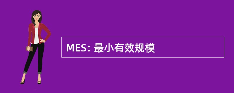 MES: 最小有效规模