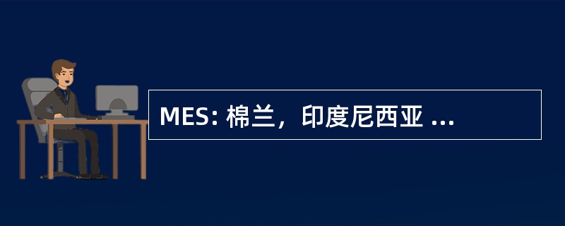 MES: 棉兰，印度尼西亚 — — 波洛尼亚