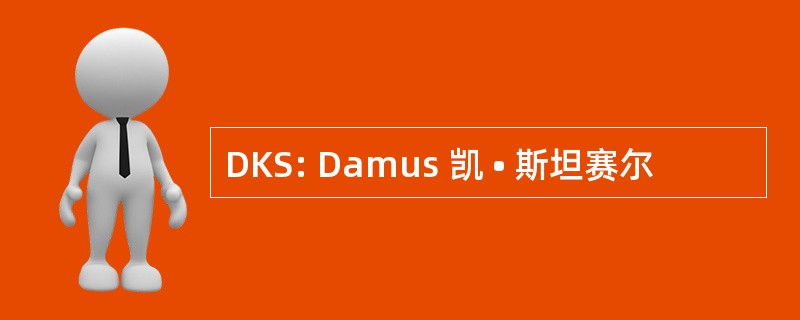 DKS: Damus 凯 • 斯坦赛尔