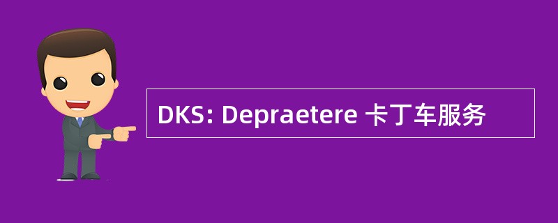 DKS: Depraetere 卡丁车服务