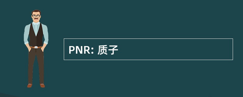 PNR: 质子