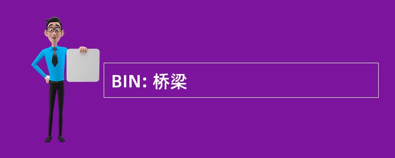 BIN: 桥梁