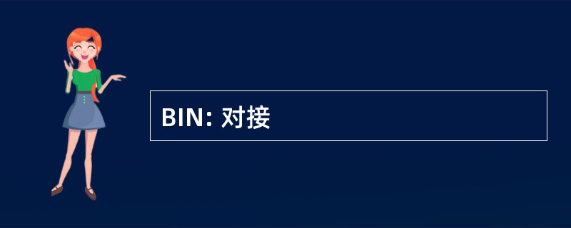 BIN: 对接