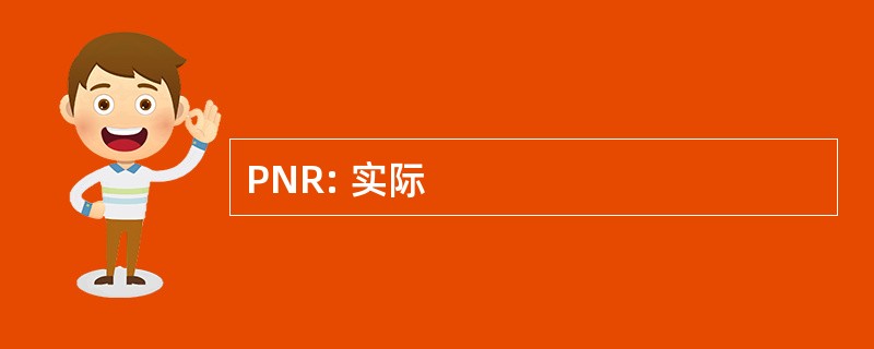 PNR: 实际