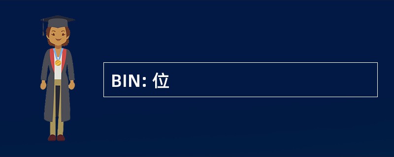 BIN: 位