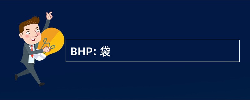 BHP: 袋