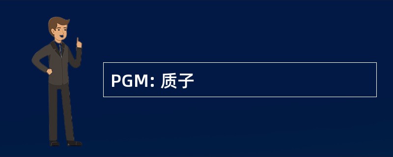 PGM: 质子