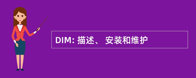 DIM: 描述、 安装和维护