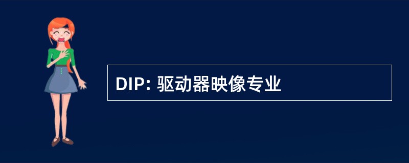 DIP: 驱动器映像专业