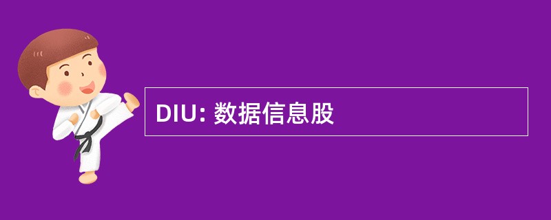 DIU: 数据信息股