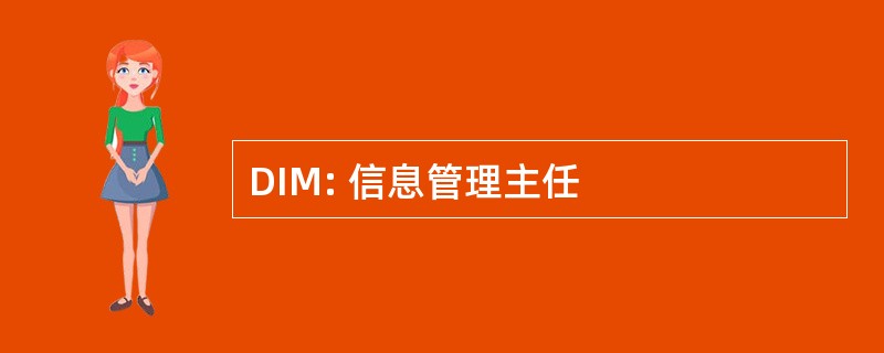 DIM: 信息管理主任