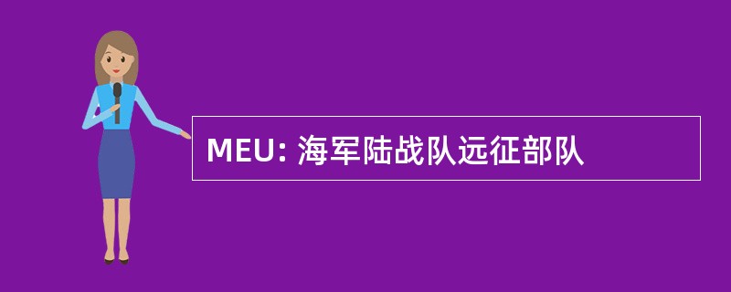 MEU: 海军陆战队远征部队