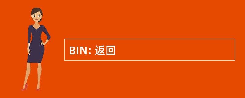 BIN: 返回