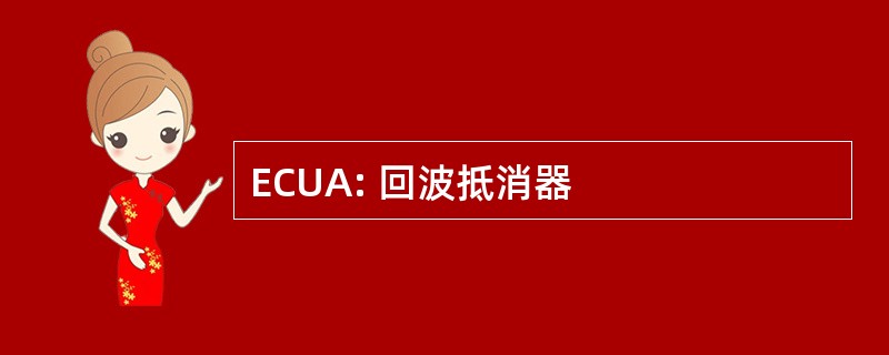 ECUA: 回波抵消器