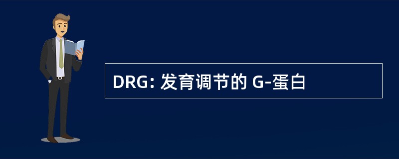 DRG: 发育调节的 G-蛋白