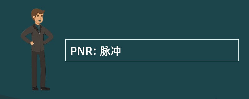 PNR: 脉冲