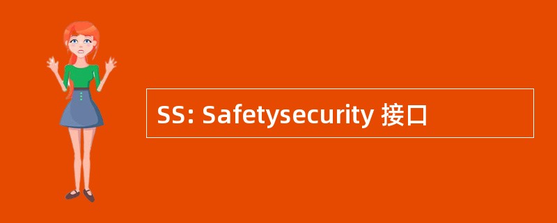 SS: Safetysecurity 接口