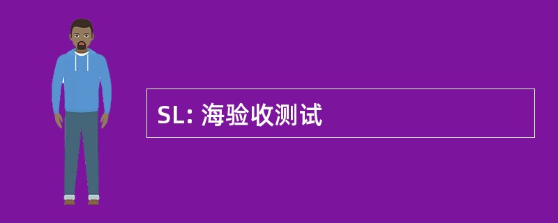 SL: 海验收测试