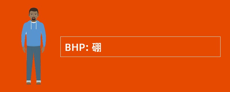 BHP: 硼