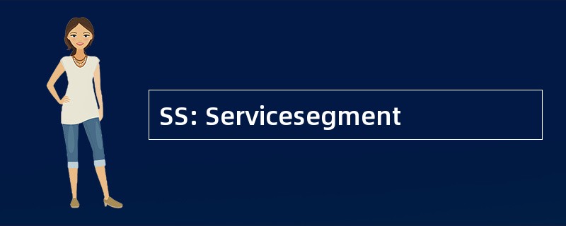 SS: Servicesegment