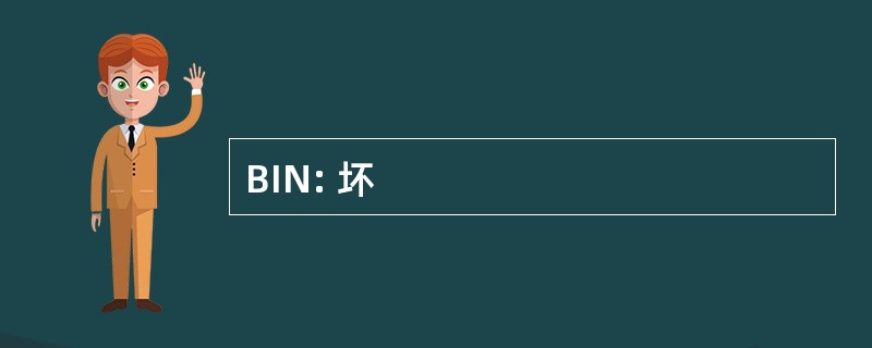 BIN: 坏