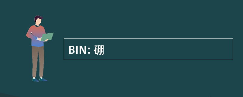 BIN: 硼