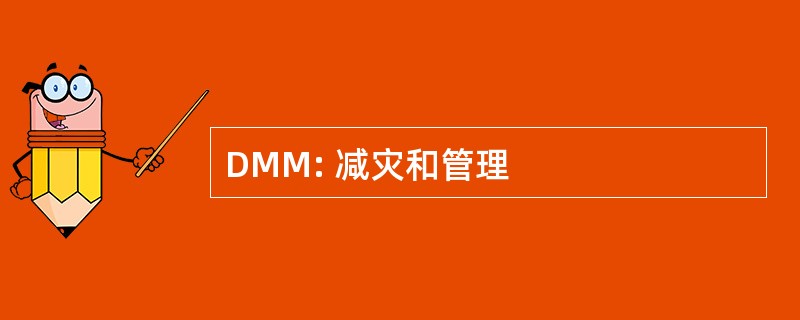 DMM: 减灾和管理