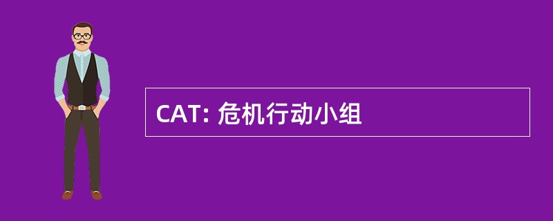 CAT: 危机行动小组