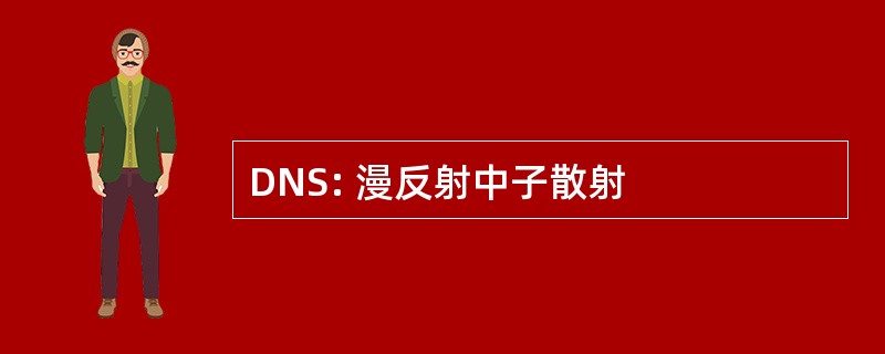 DNS: 漫反射中子散射