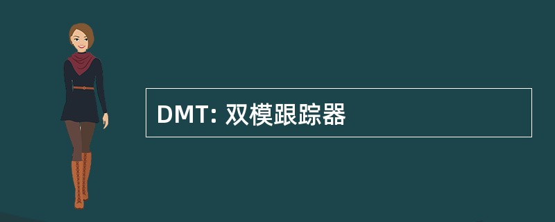 DMT: 双模跟踪器