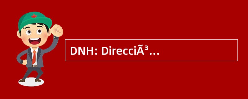 DNH: DirecciÃ³n 国立 de Hidrocarburos