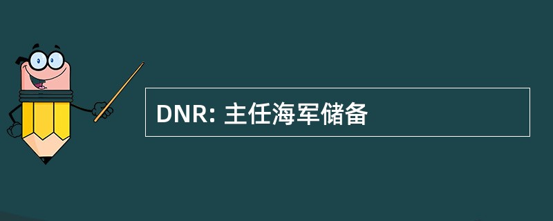 DNR: 主任海军储备