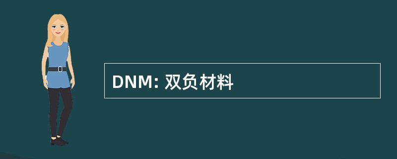 DNM: 双负材料