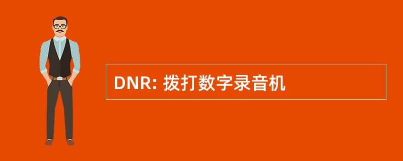 DNR: 拨打数字录音机