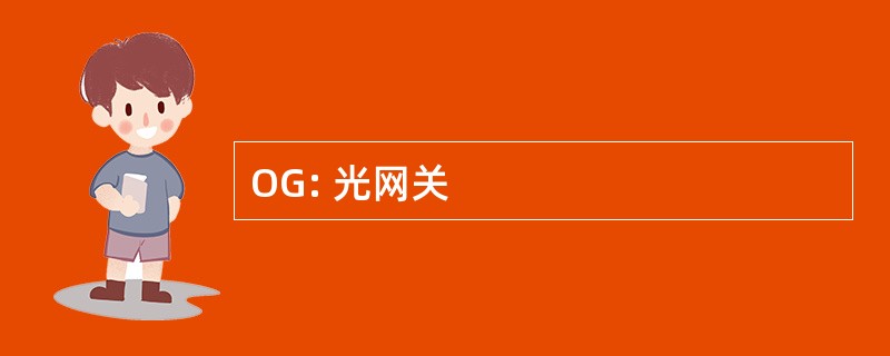 OG: 光网关