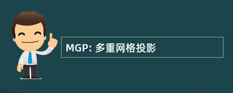 MGP: 多重网格投影