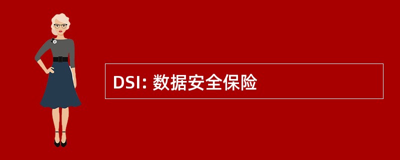 DSI: 数据安全保险