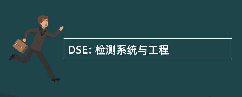 DSE: 检测系统与工程