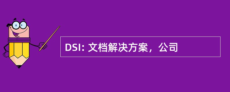 DSI: 文档解决方案，公司