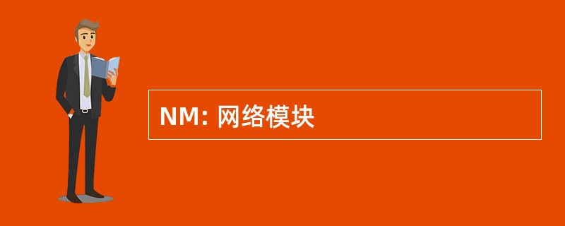 NM: 网络模块