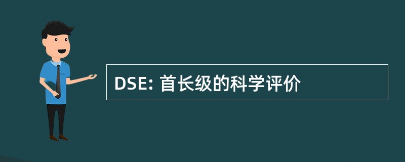 DSE: 首长级的科学评价